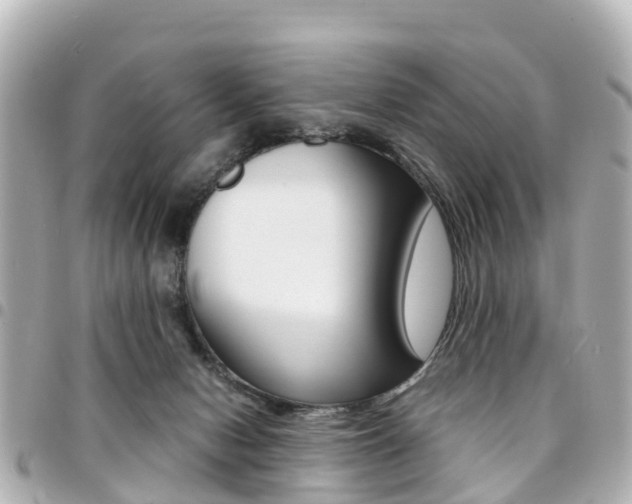 X0000094450078200711081057