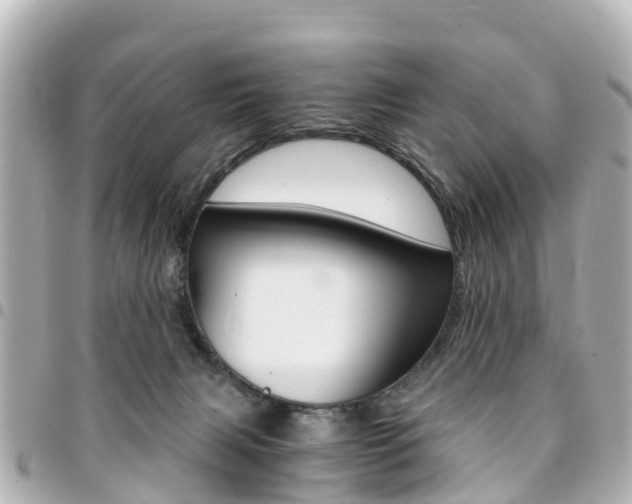 X0000094450079200711081057