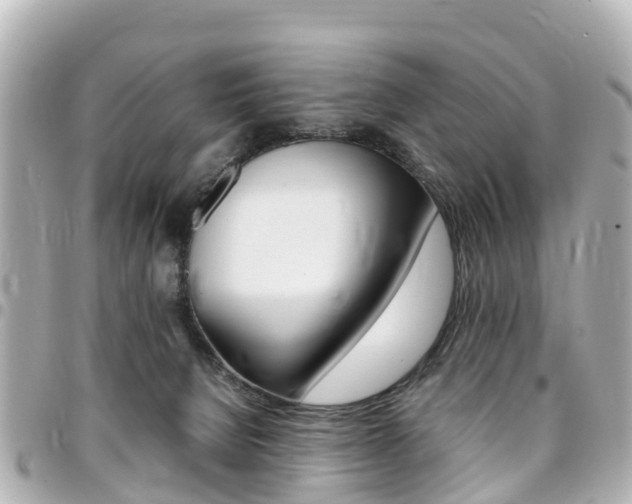 X0000094450080200711081057
