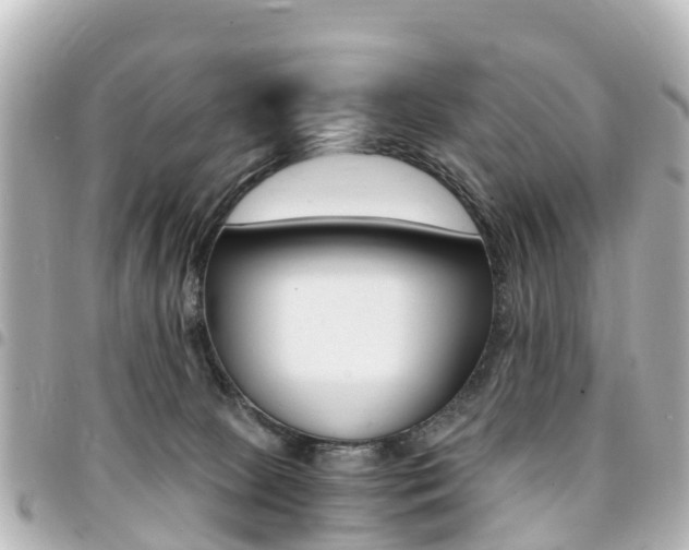 X0000094450081200711081057