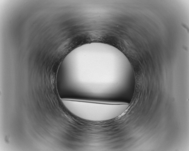 X0000094450082200711081057