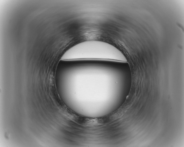 X0000094450083200711081057
