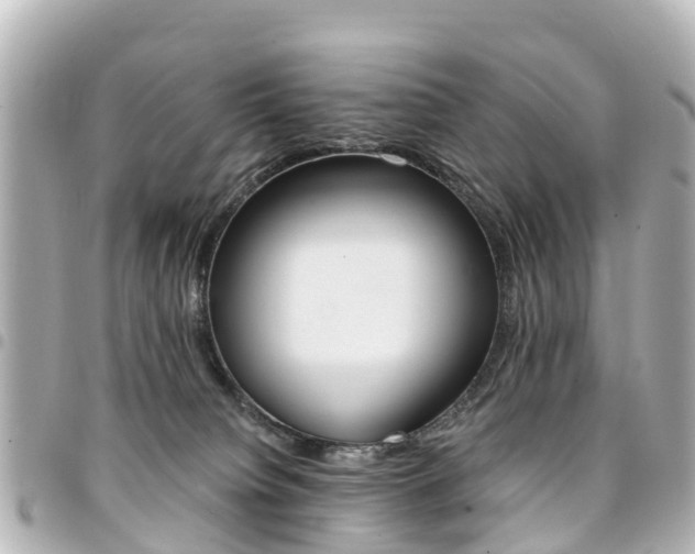 X0000094450084200711081057
