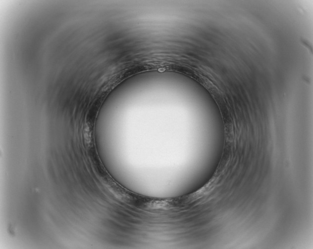 X0000094450086200711081057