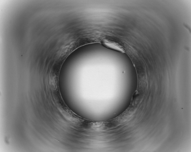 X0000094450088200711081057