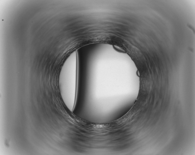 X0000094450091200711081057