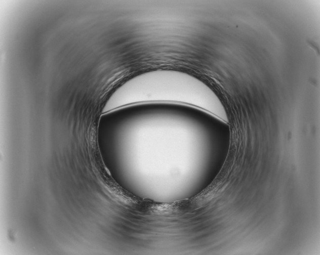 X0000094450092200711081057