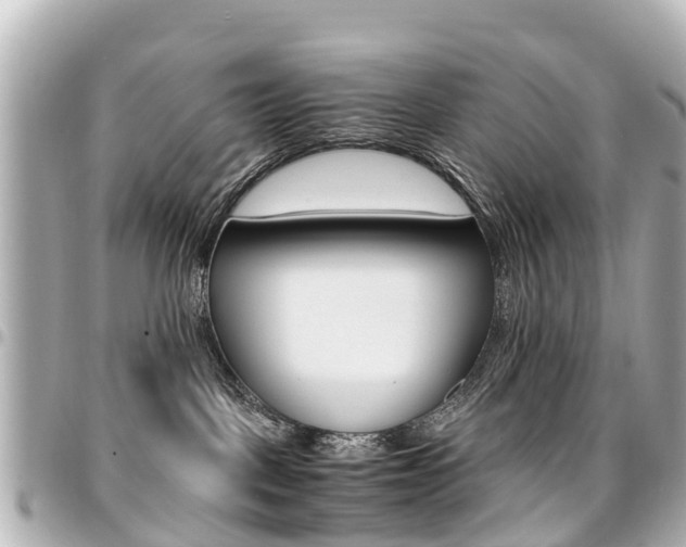 X0000094450093200711081057