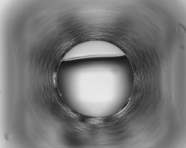 X0000094450094200711081057