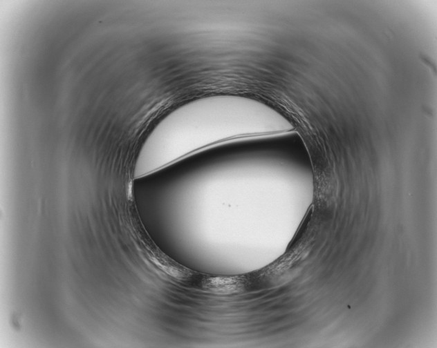 X0000094450095200711081057
