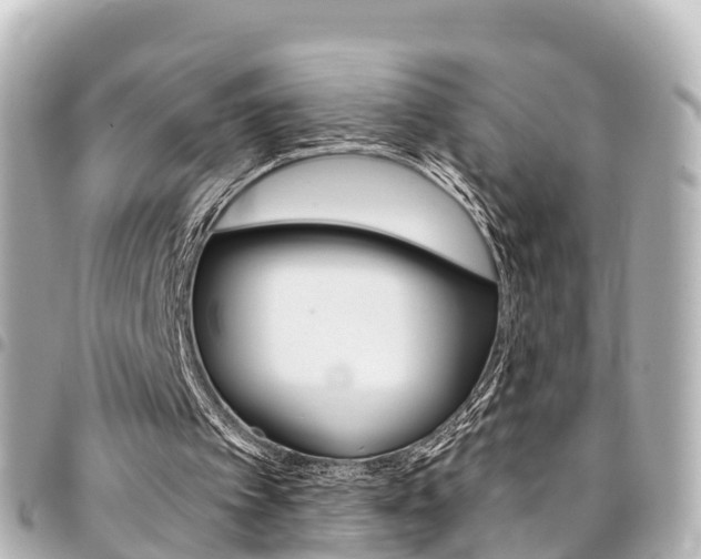 X0000094450097200711081056
