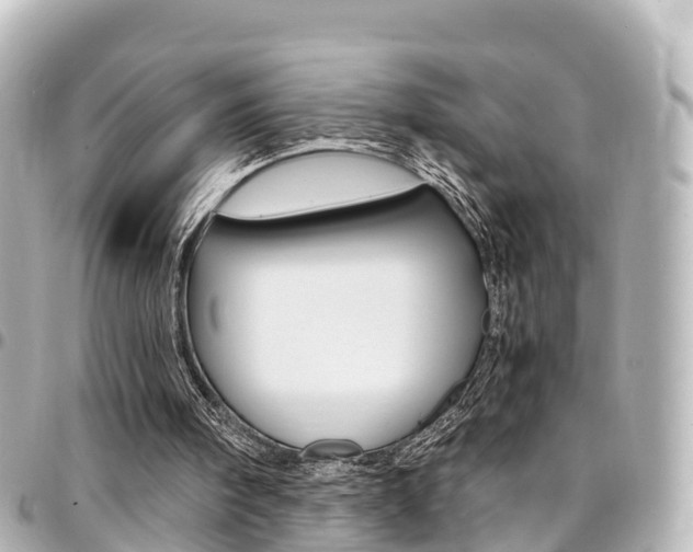 X0000094450098200711081056