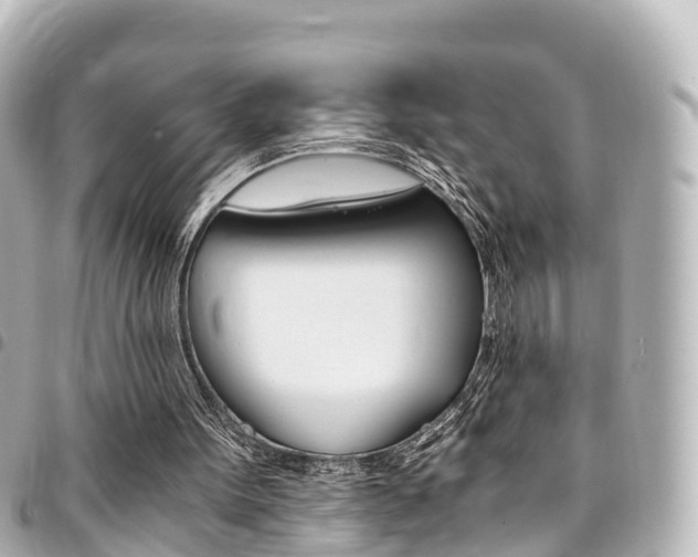 X0000094450099200711081056