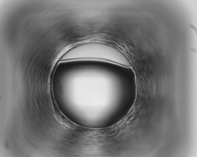 X0000094450100200711081056
