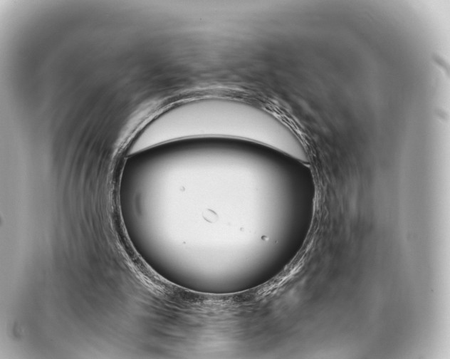 X0000094450101200711081056