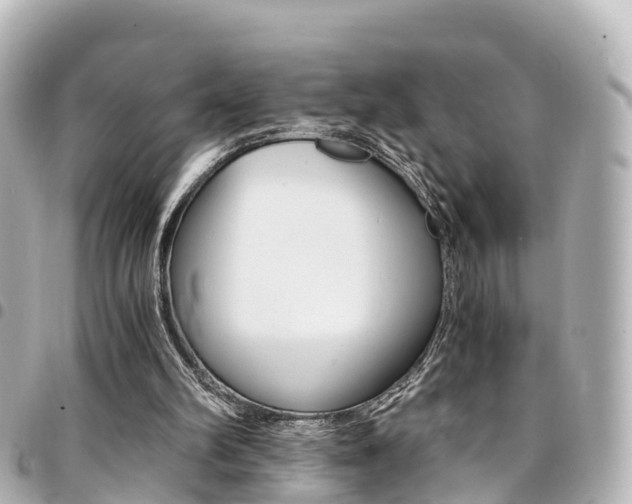X0000094450102200711081056