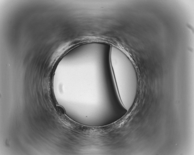 X0000094450103200711081056