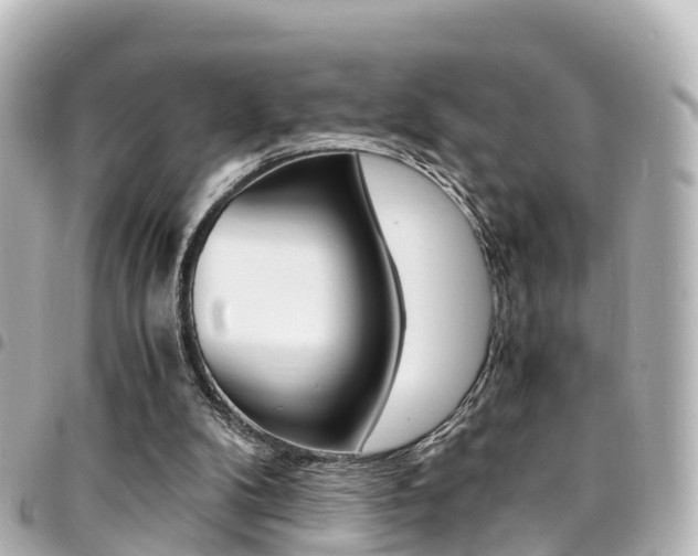 X0000094450104200711081056