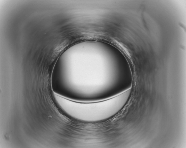 X0000094450105200711081056