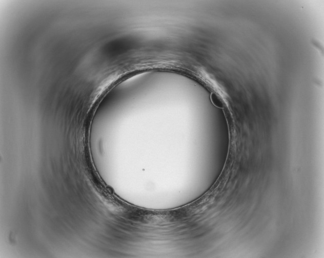 X0000094450107200711081056