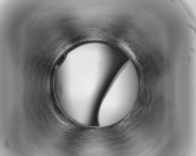 X0000094450108200711081056