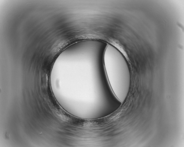 X0000094450109200711081056