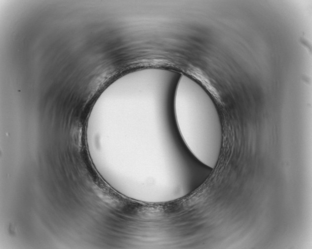 X0000094450110200711081056