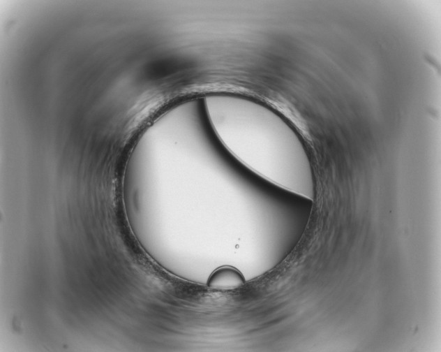 X0000094450111200711081056