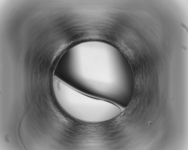 X0000094450112200711081056
