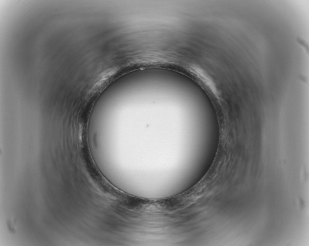 X0000094450115200711081056