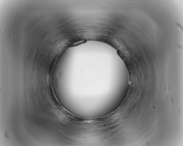 X0000094450117200711081056
