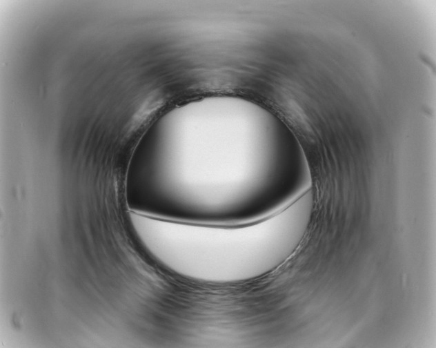 X0000094450120200711081056
