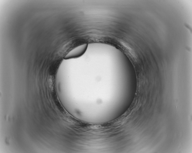 X0000094450121200711081056