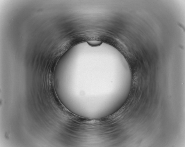 X0000094450122200711081056
