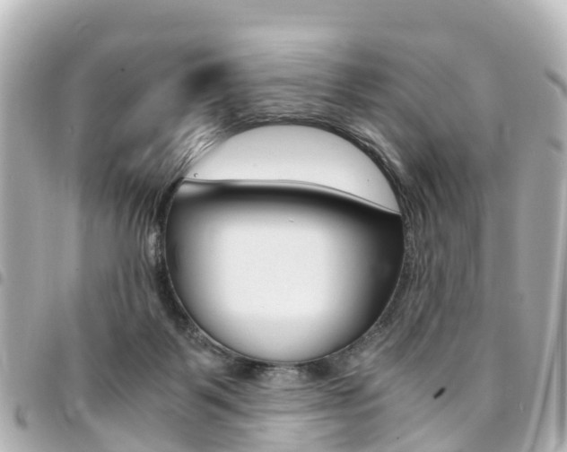 X0000094450123200711081056