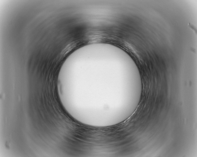 X0000094450124200711081056