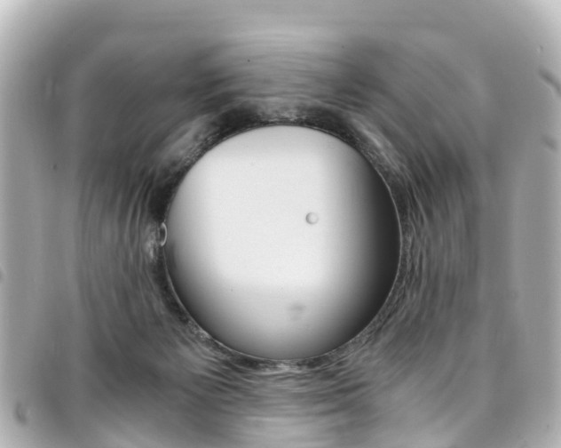 X0000094450125200711081056