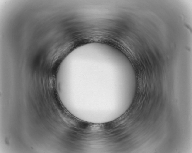 X0000094450126200711081056
