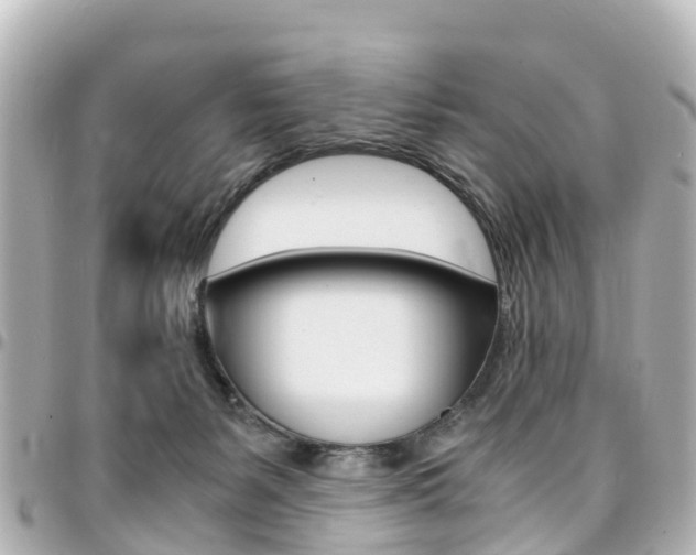 X0000094450127200711081056