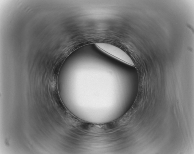 X0000094450129200711081056