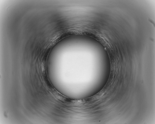 X0000094450131200711081056