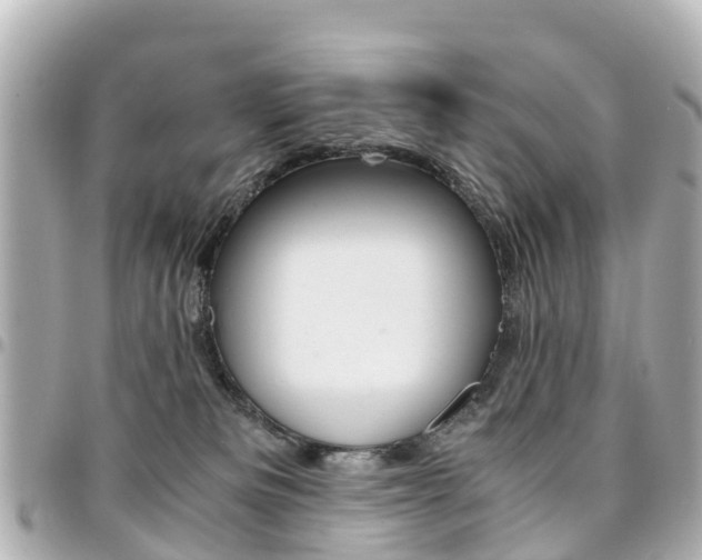X0000094450133200711081056