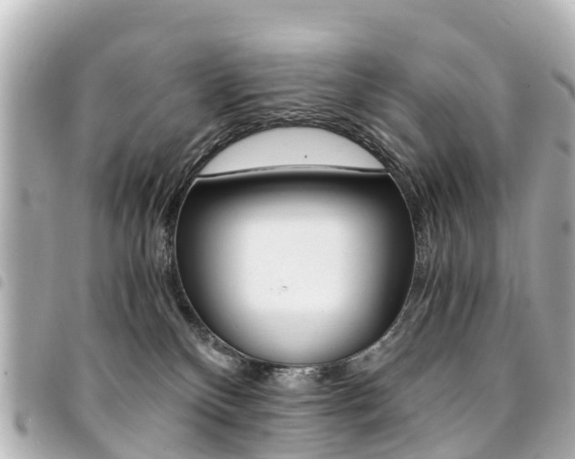 X0000094450136200711081056