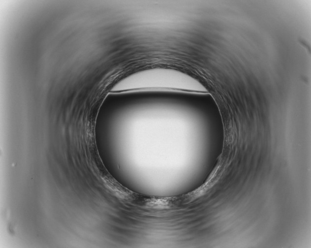 X0000094450140200711081056