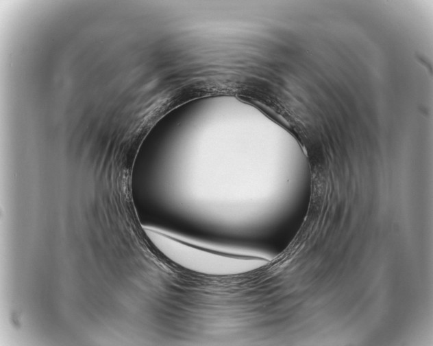 X0000094450141200711081056