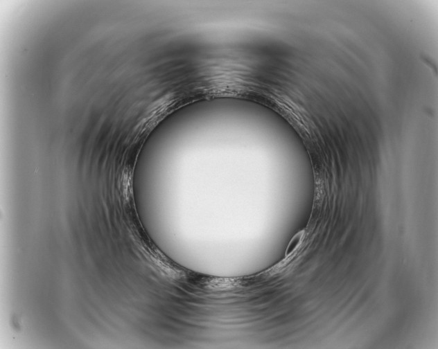 X0000094450142200711081056