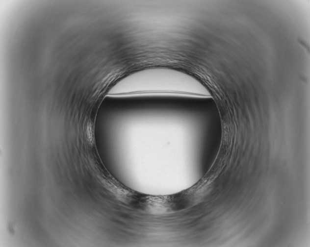 X0000094450143200711081056