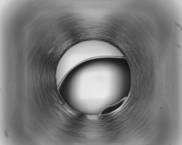 X0000094450144200711081056