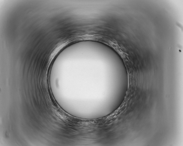 X0000094450147200711081055