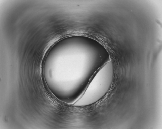 X0000094450148200711081055